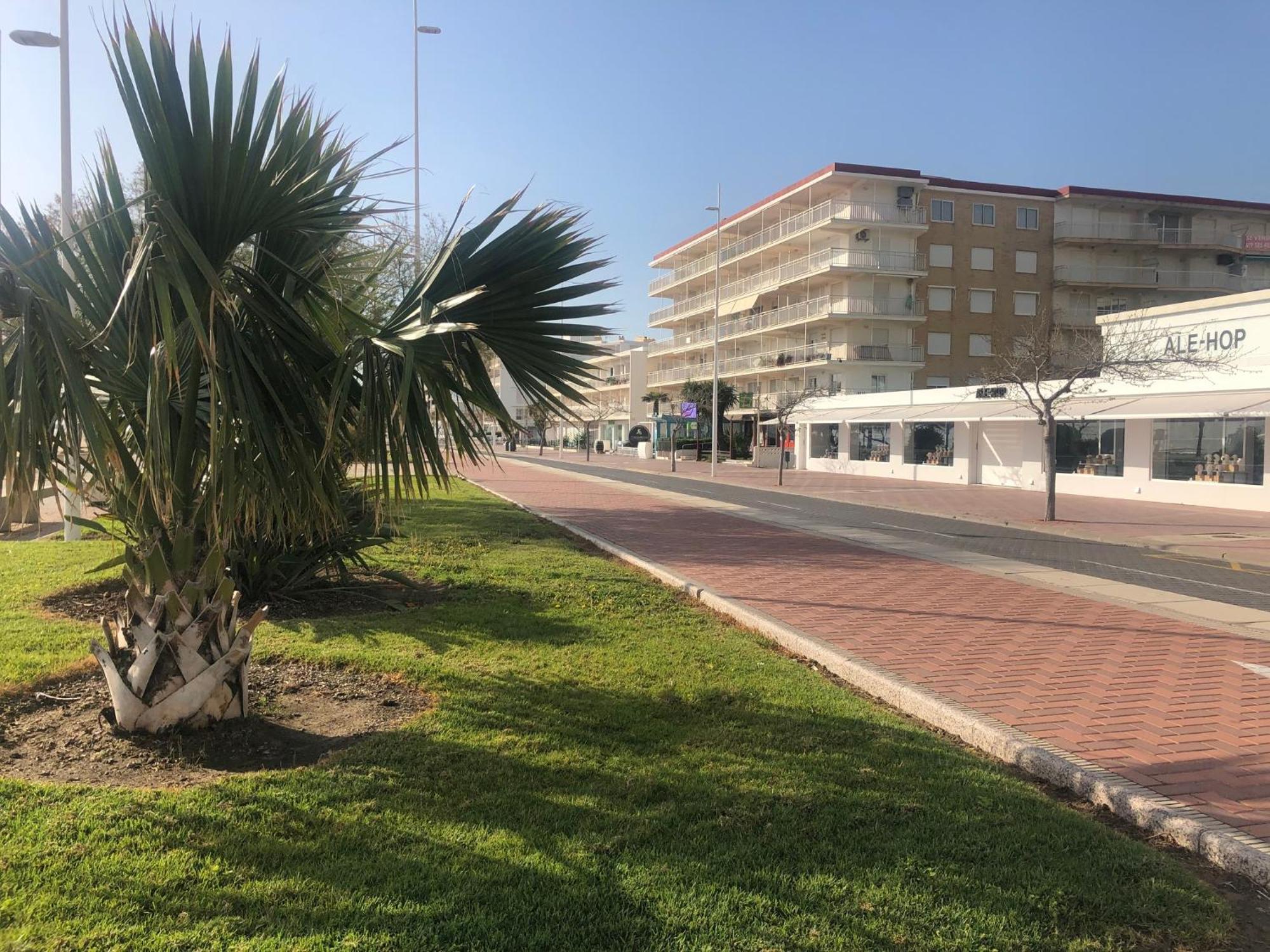 شقة Playa De Gandia 1Ere Ligne El Galeon المظهر الخارجي الصورة